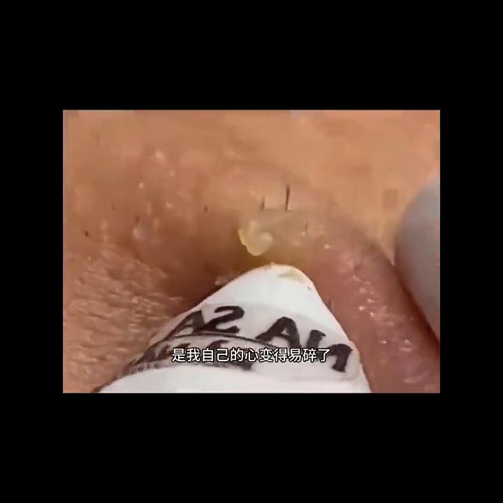 日常系美剧小说,免费看小说的日常