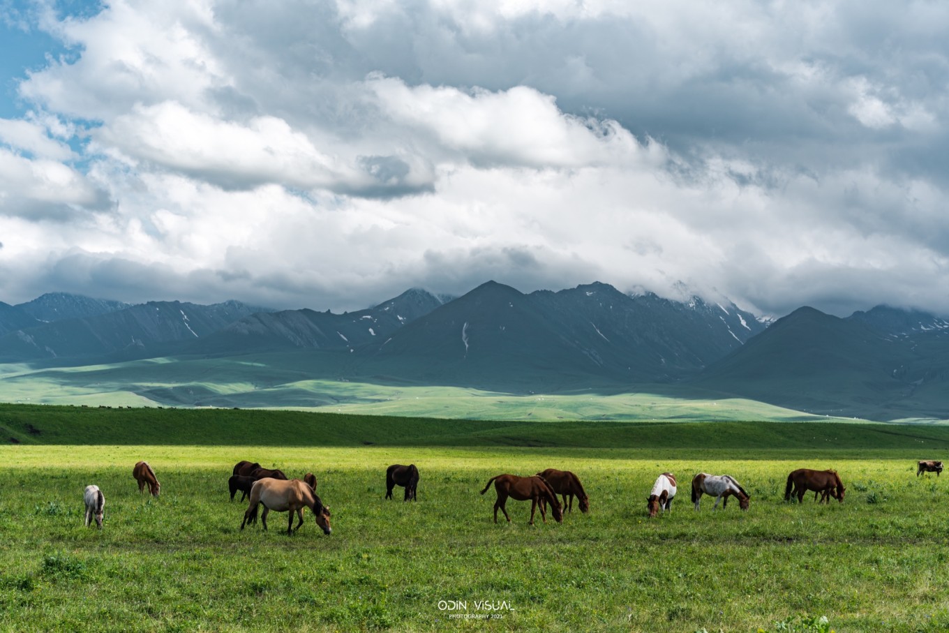 新疆伊犁之美,走了一圈才发现世界万物远不及你