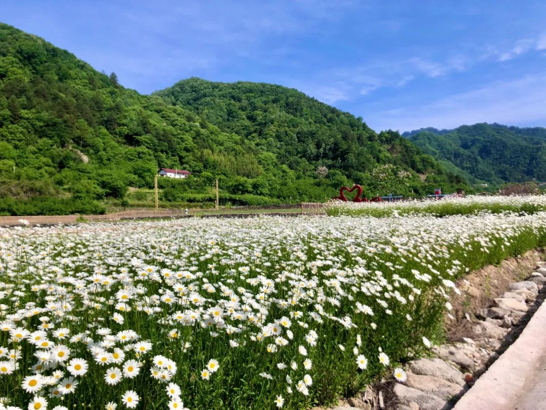 这才是清凉夏天的打开方式,清凉一夏夏天的正确打开方式
