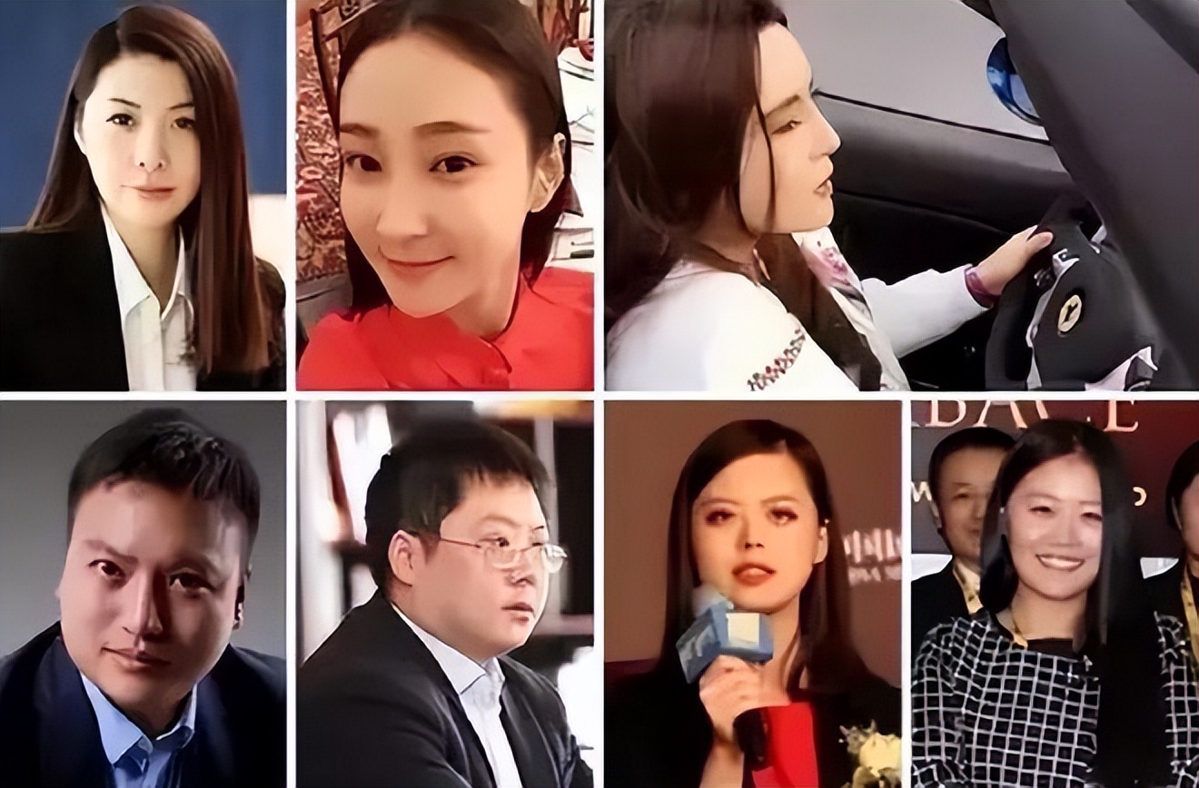 丁宁巅峰时期e租宝,e租宝丁宁难道不怕出事吗