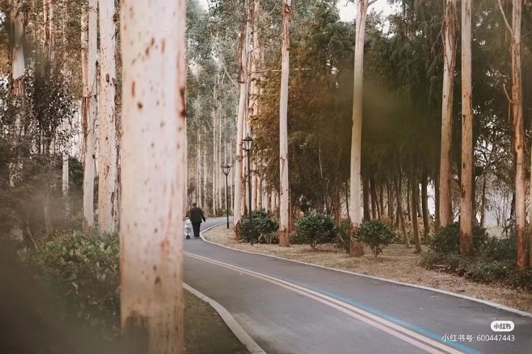 温州秋天的景,温州的秋天