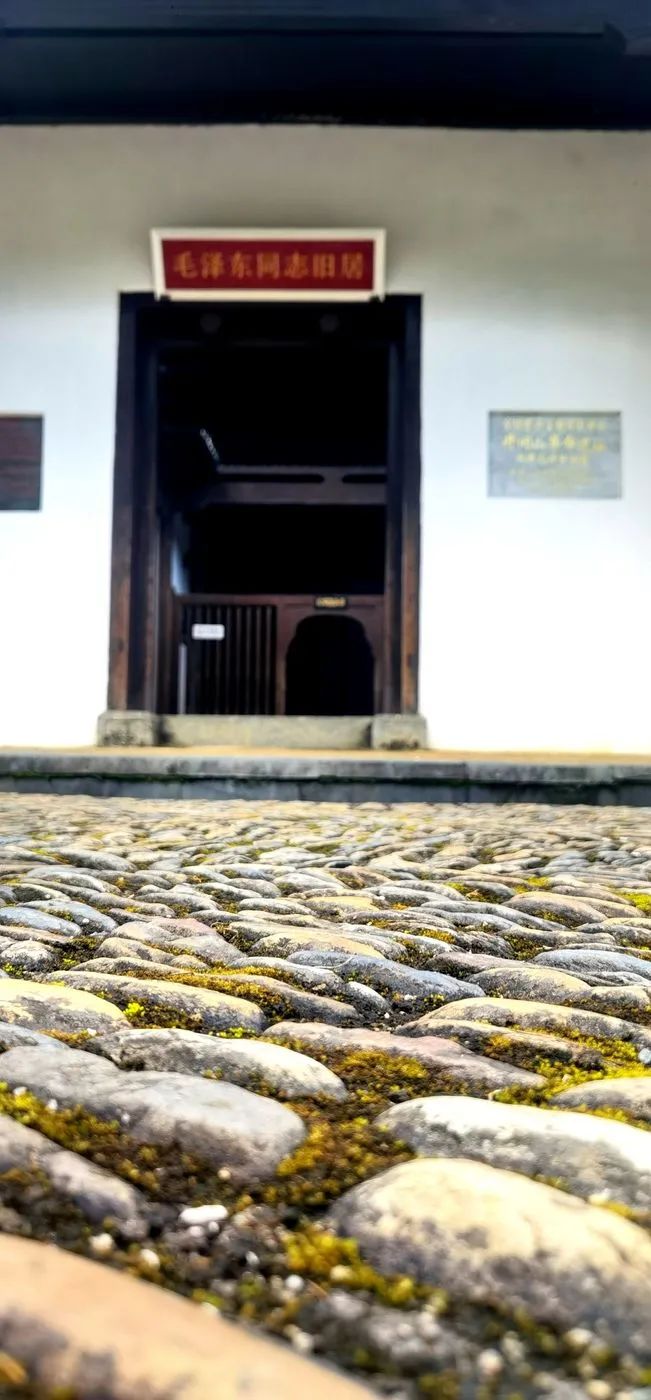 哈雷车主会福州分会,哈雷hog车主会八周年庆典巡游