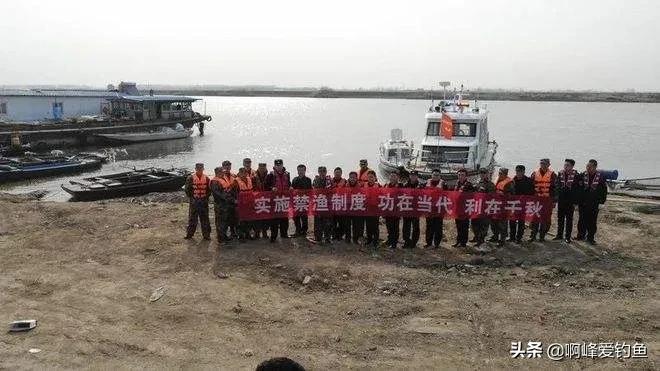 长江禁渔出现了什么新鱼,长江禁渔10年到现在鱼怎么样了