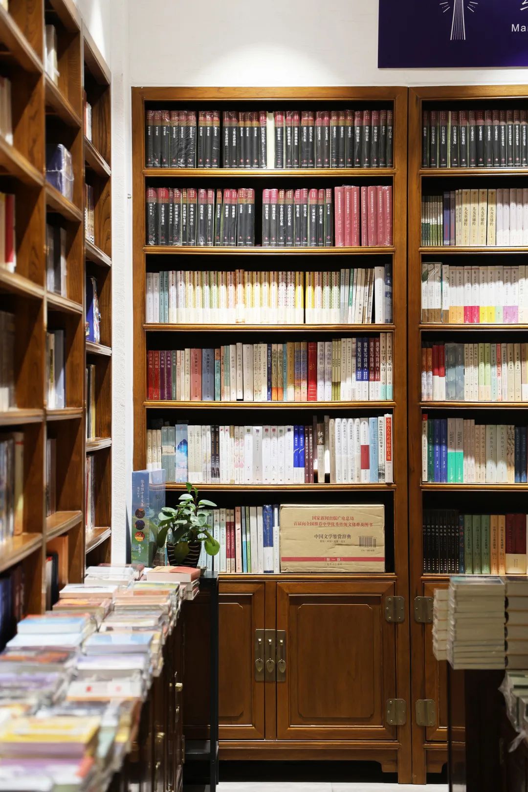 走进书店读书心得体会,走进图书馆感受书香气息