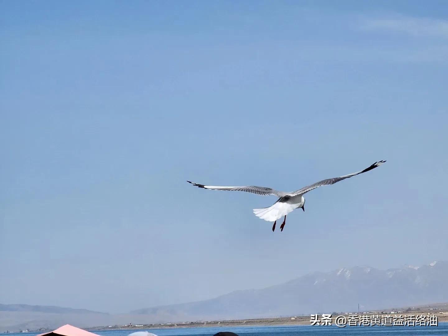 孩子交友不慎如何引导,中学生交友不慎的危害