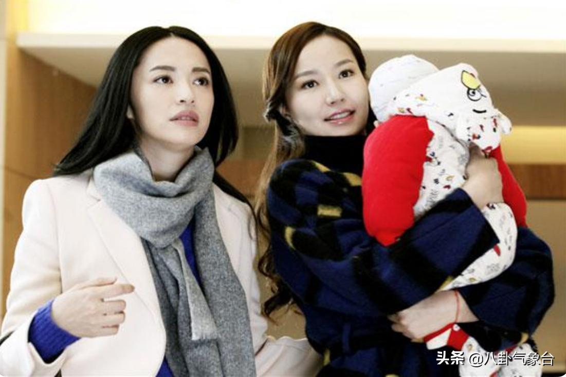 韩雨芹事业成功,韩雨芹为何能嫁入豪门