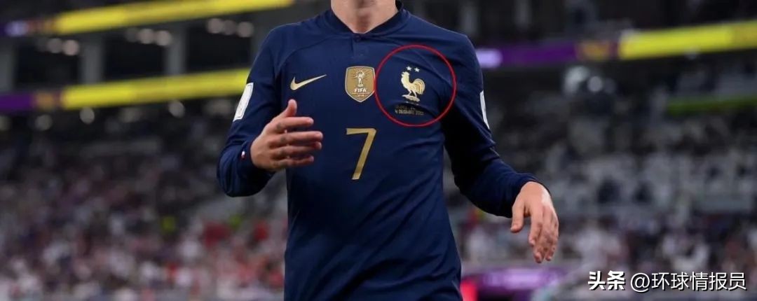 法国人的精神象征,为什么法国人自称高卢雄鸡