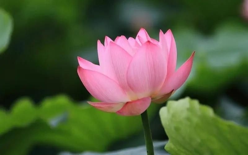 致2023年的自己的一段话励志,2023下半年写给自己的话