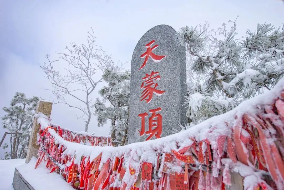 雪落成白墨影成殇,零落成妆