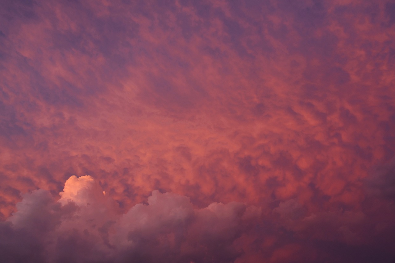 心理学脸皮厚,脸皮厚的人心理承受能力都强