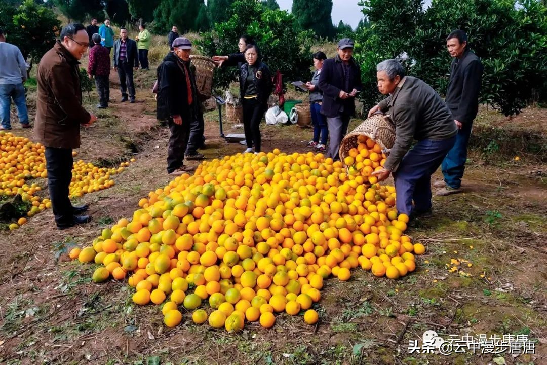 岳池旅游景点大全推荐,行走的美景