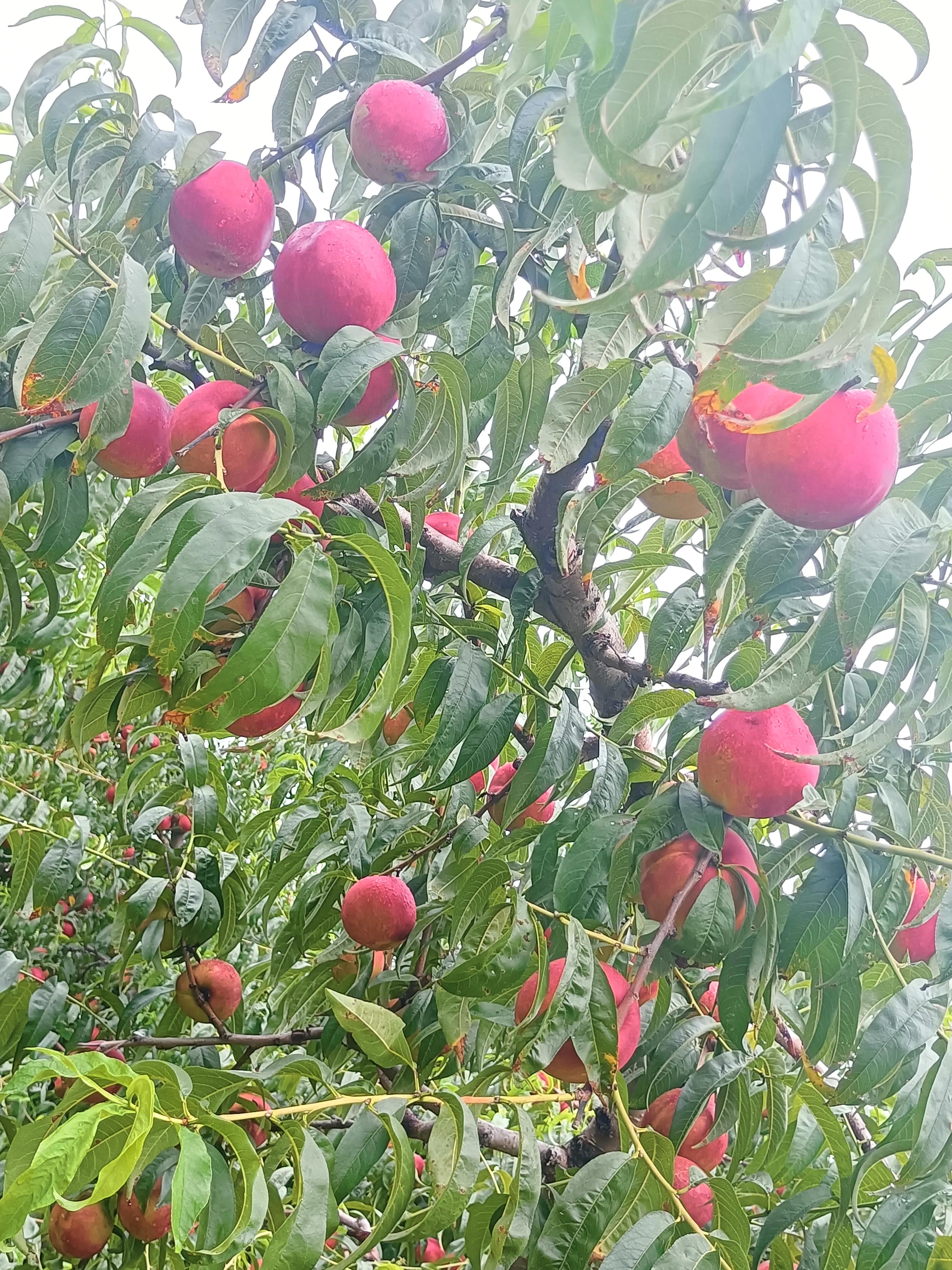 知行合一，简单的美好，仙浴湾、西中岛、金普新区行记