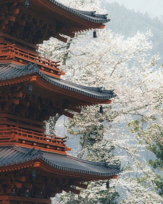 异性之间一旦缘尽会有这些信号,异性之间有这种思念才算真爱