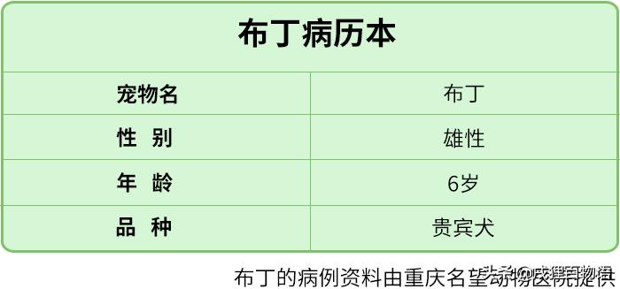 狗颈椎痛针灸,狗狗腰椎颈椎病怎么治疗