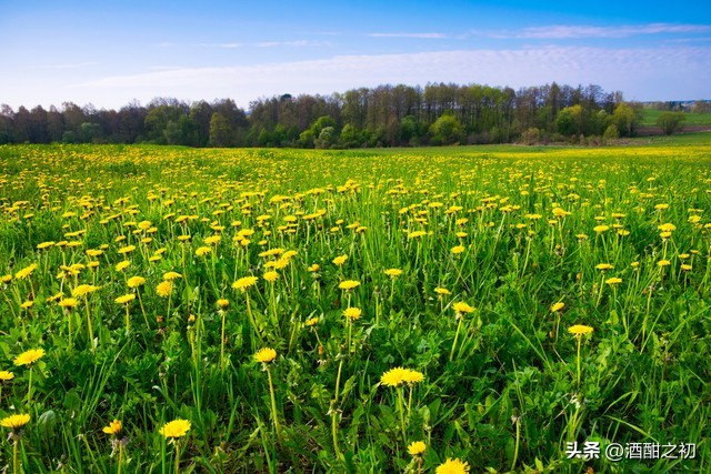 乡村故事：奸情（二十三）