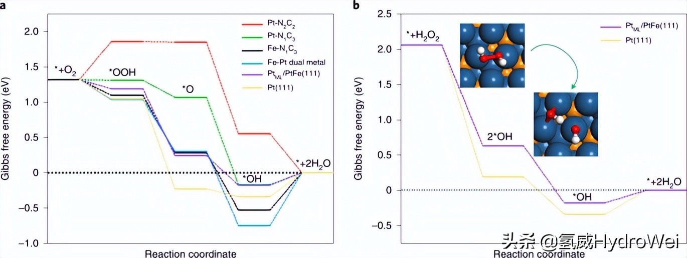 香港科技大学研发氢燃料电池,香港科大lt-b