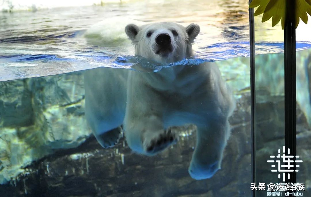 10大景区景点！“一票游大连”来了！