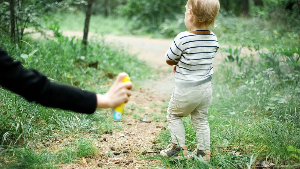 带娃出门游遇到蜱虫千万别乱拔,警惕这三种毒虫带娃出行必看