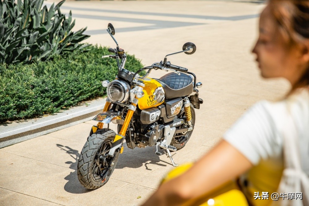 银钢150和蜜獾怎么选,平头哥蜜獾的战斗力有多强