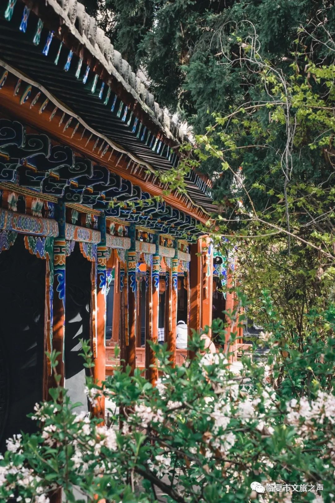 河州游玩攻略,河上一日游最佳路线