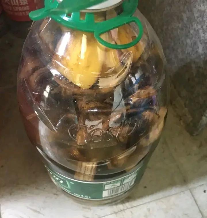 种植物的神仙水,神仙水养什么花最好