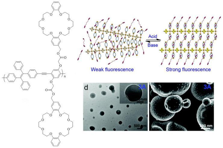 共轭聚合物的结构特点,共轭聚合物