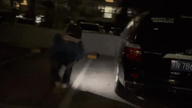 我的猫丢了拿回来要钱怎么办,我的猫丢了隐晦的意思