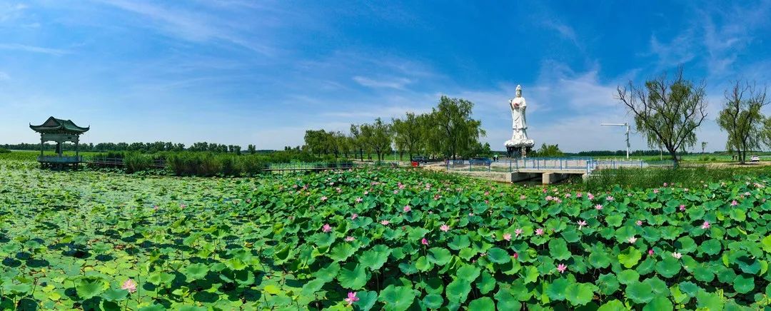 济南元素再一次火爆“出圈”！省长推介的诗意济南是什么样子的？