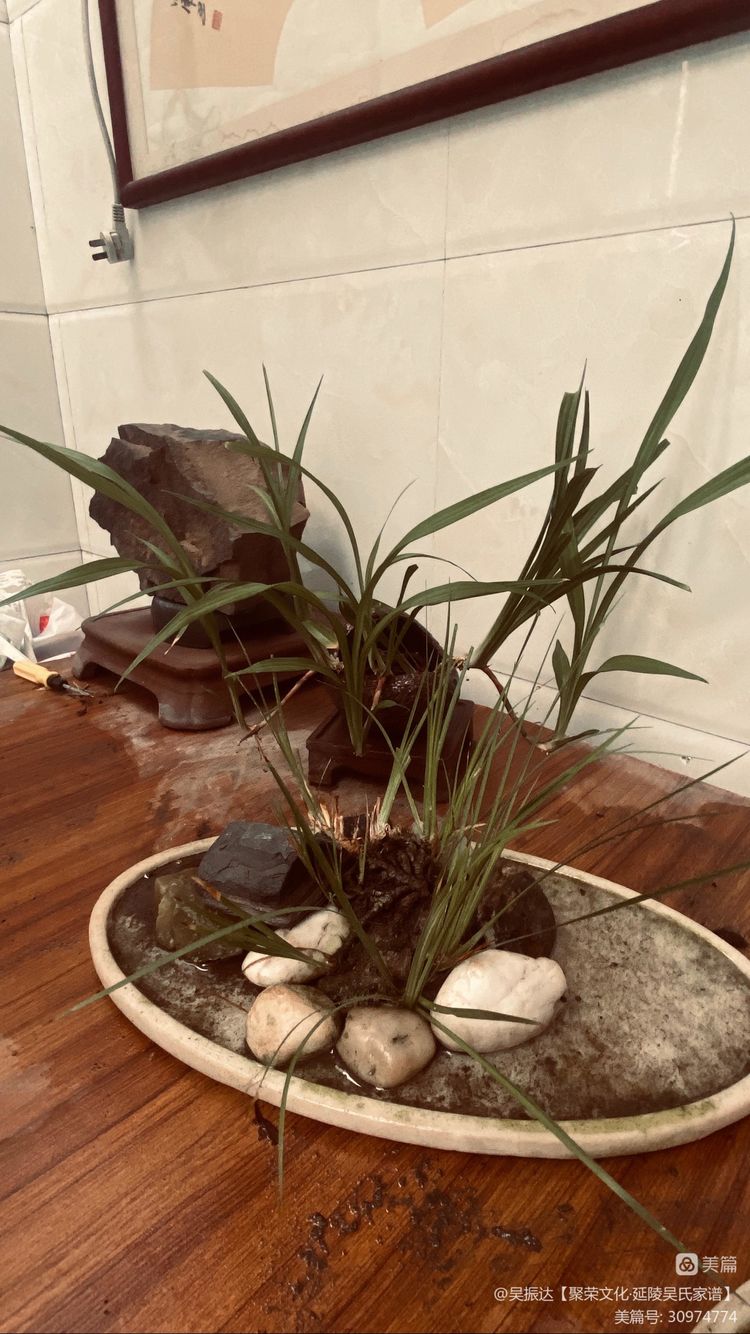 绿色是生命中的最美色彩