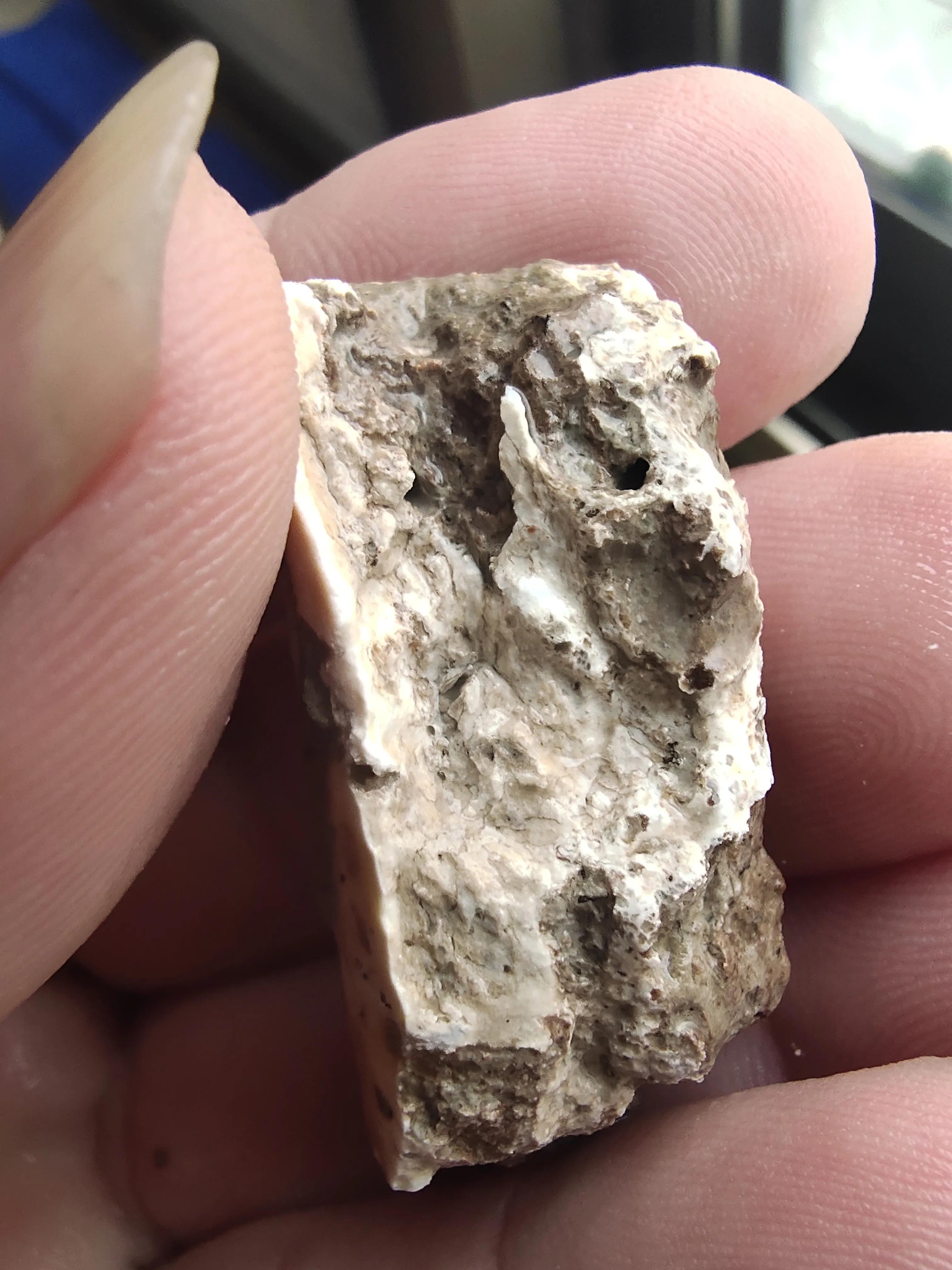 试论高古玉标本是如何毁灭的