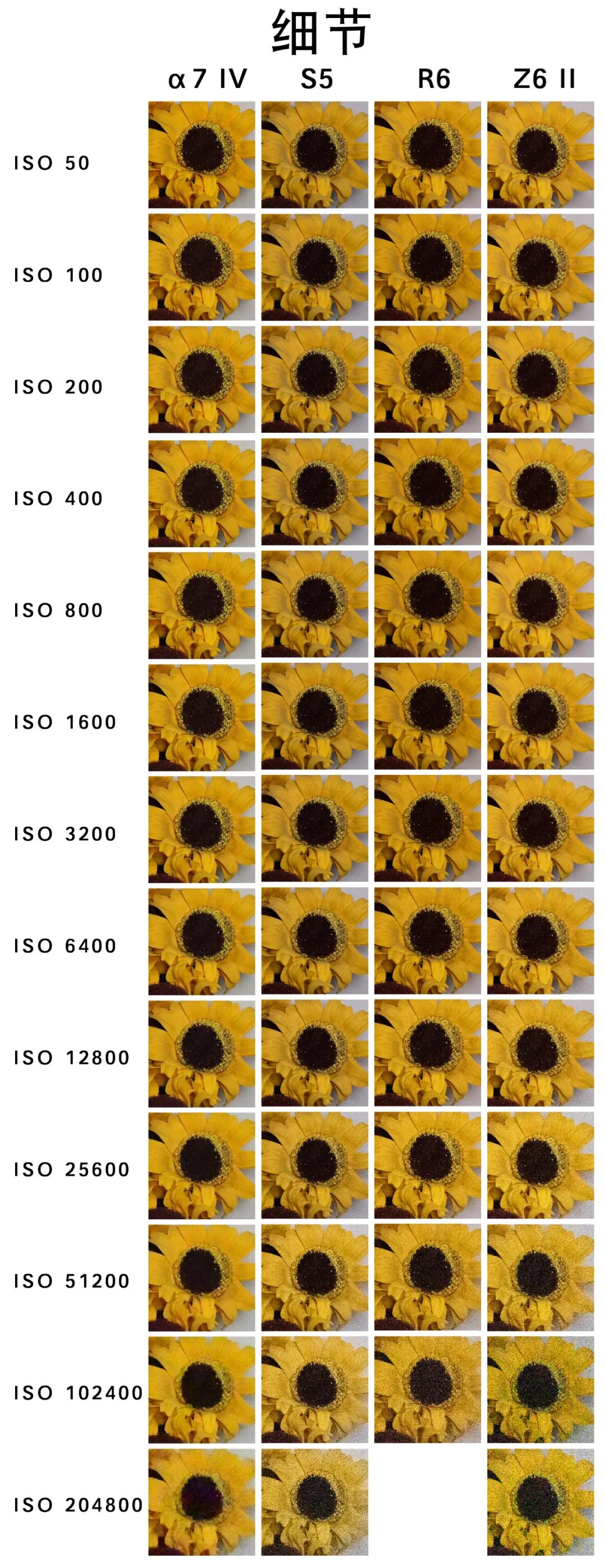 全画幅单反相机推荐中端,中端单反相机排行榜