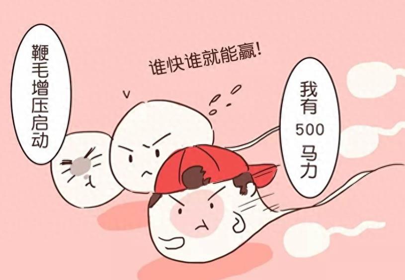 失落的小勇士们,踏上了怀孕之路