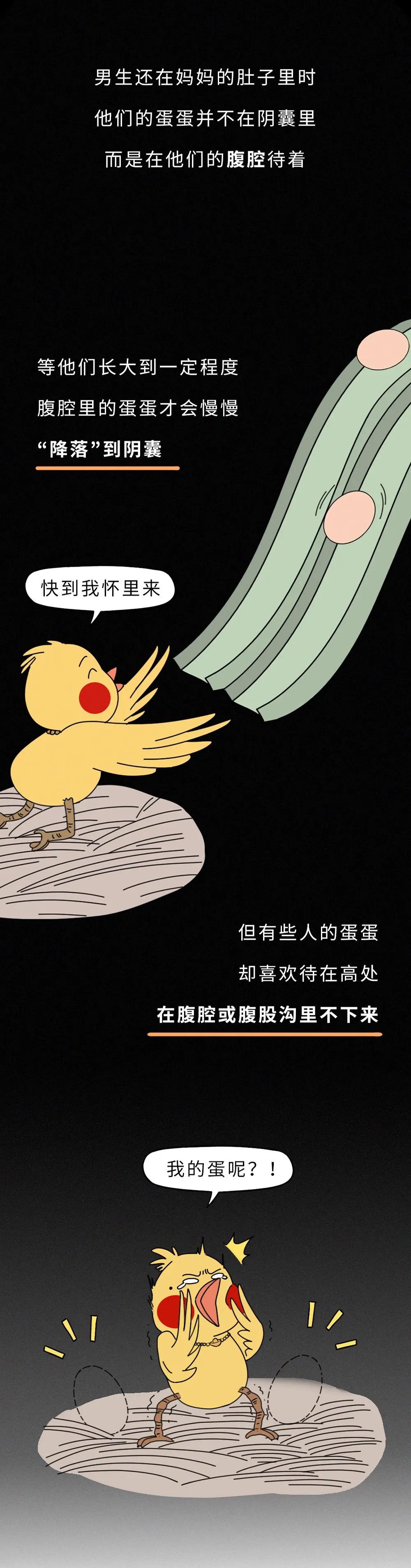 奇怪的知识又增加了：男生只有一个蛋蛋，会影响*生活性**吗？