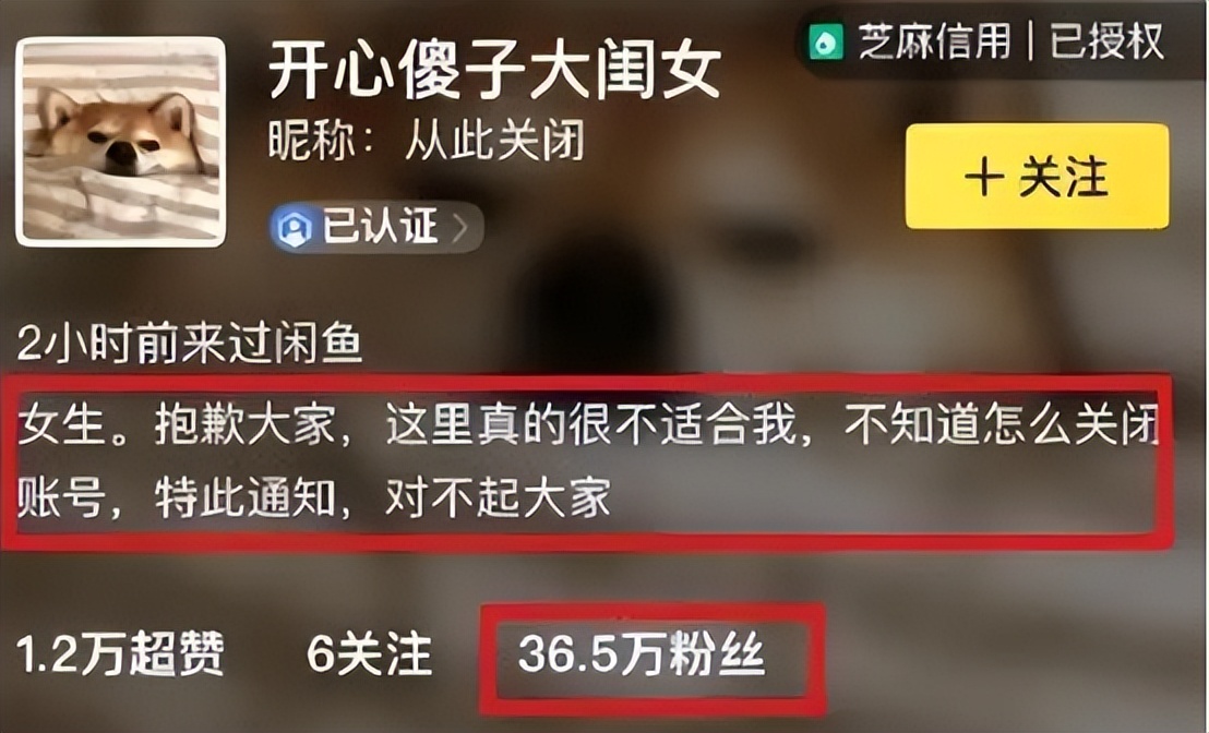 明星售卖二手物品,明星卖掉的二手名牌服装