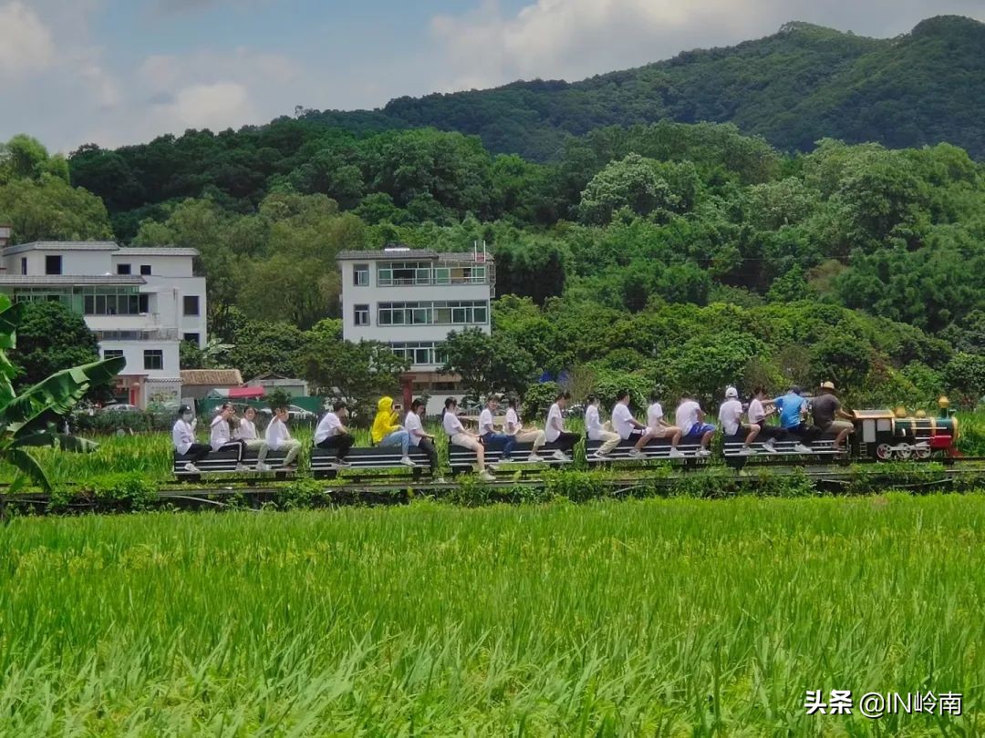 音乐潮玩市集白云公园站,潮玩街区音乐集市仁寿