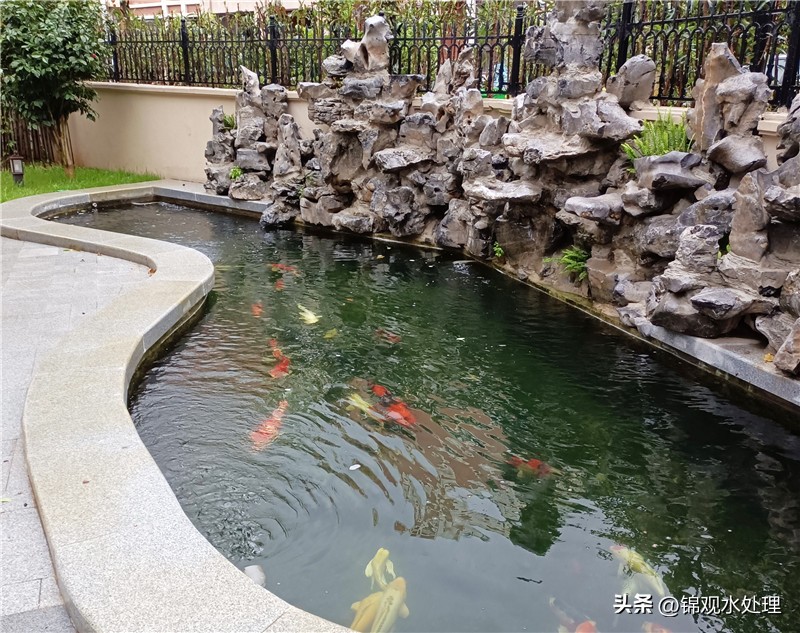 锦鲤鱼池过滤材料摆放顺序,溧阳大型锦鲤鱼池过滤系统