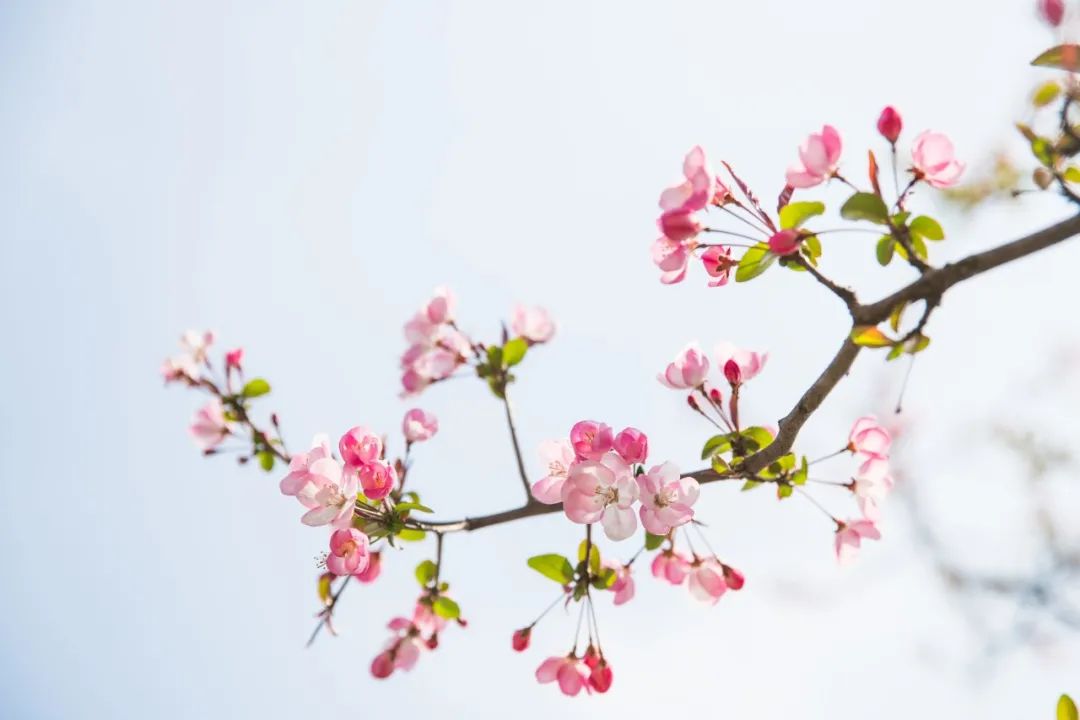 最惬意的时光的诗词,最闲情雅致的诗词