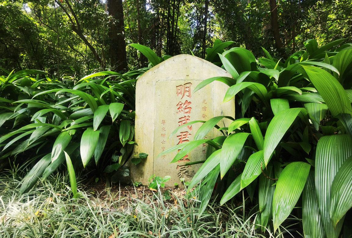 超详细的广东旅游攻略,广东宝藏小城旅游攻略