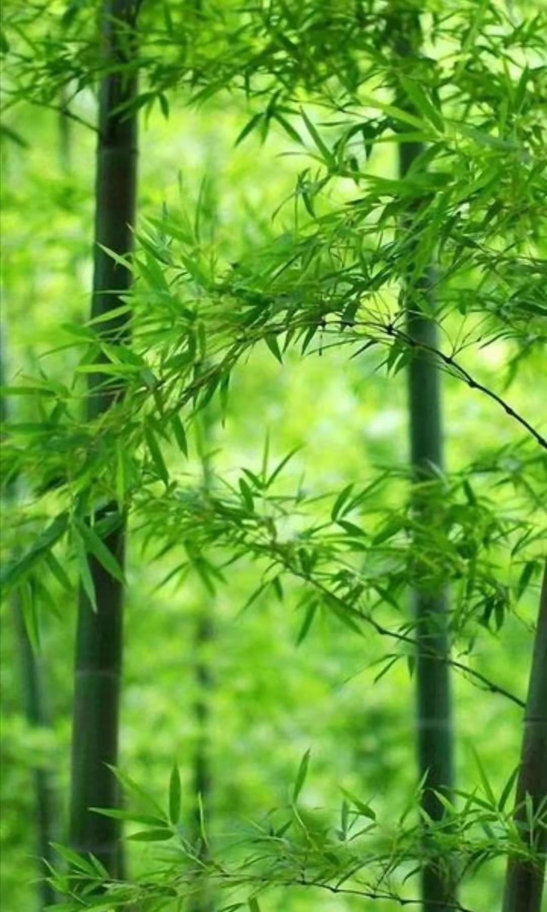 清明十首最好诗赏析,清明节诗词作品