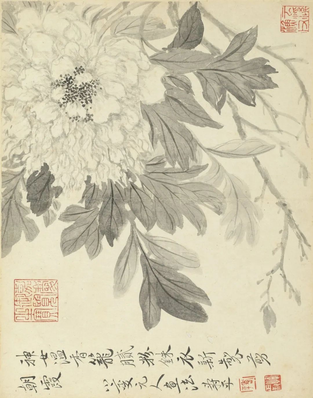 慕容看世界的视频,慕容看世界所有视频