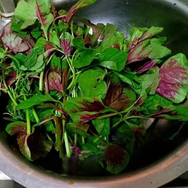 补钙第一名的菜芥蓝,营养专家推荐的7种绿叶蔬菜