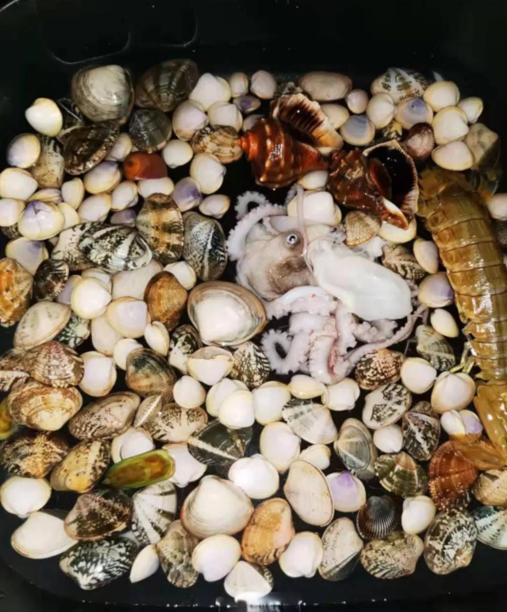 东疆港两日游攻略路线推荐,去东疆港赶海攻略