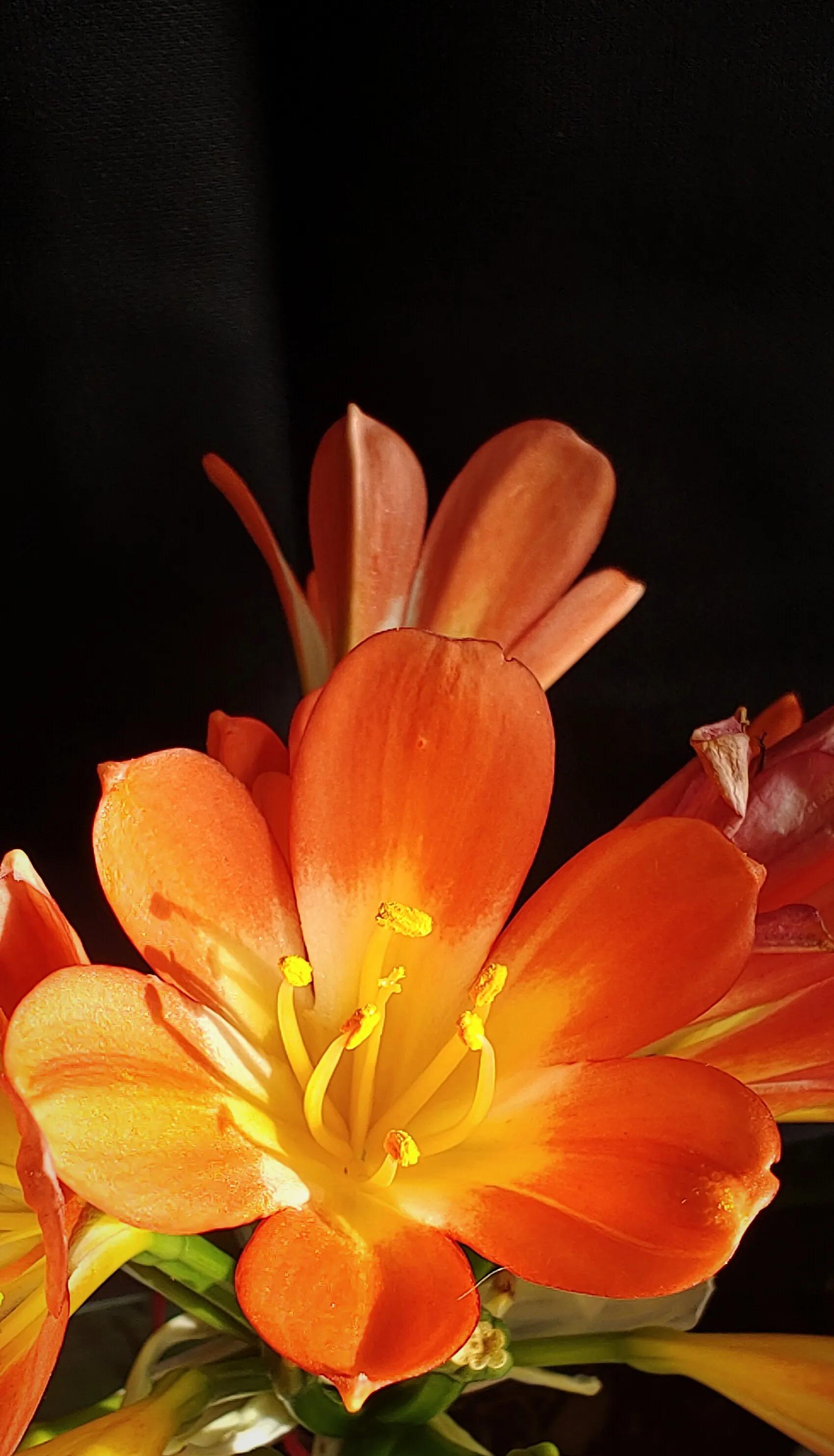 手拍世界近期作品,手拍世界完整版视频