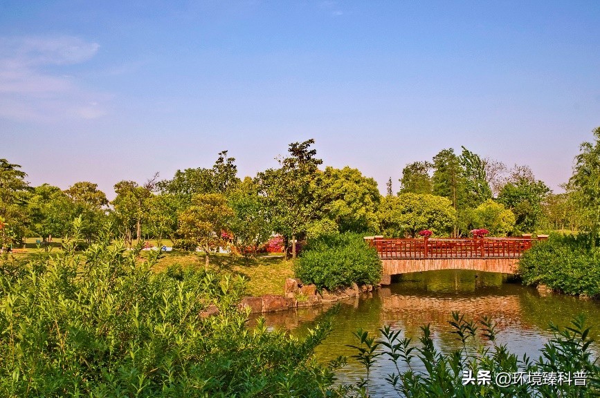 国家森林公园推荐,15个适合周末游的森林公园