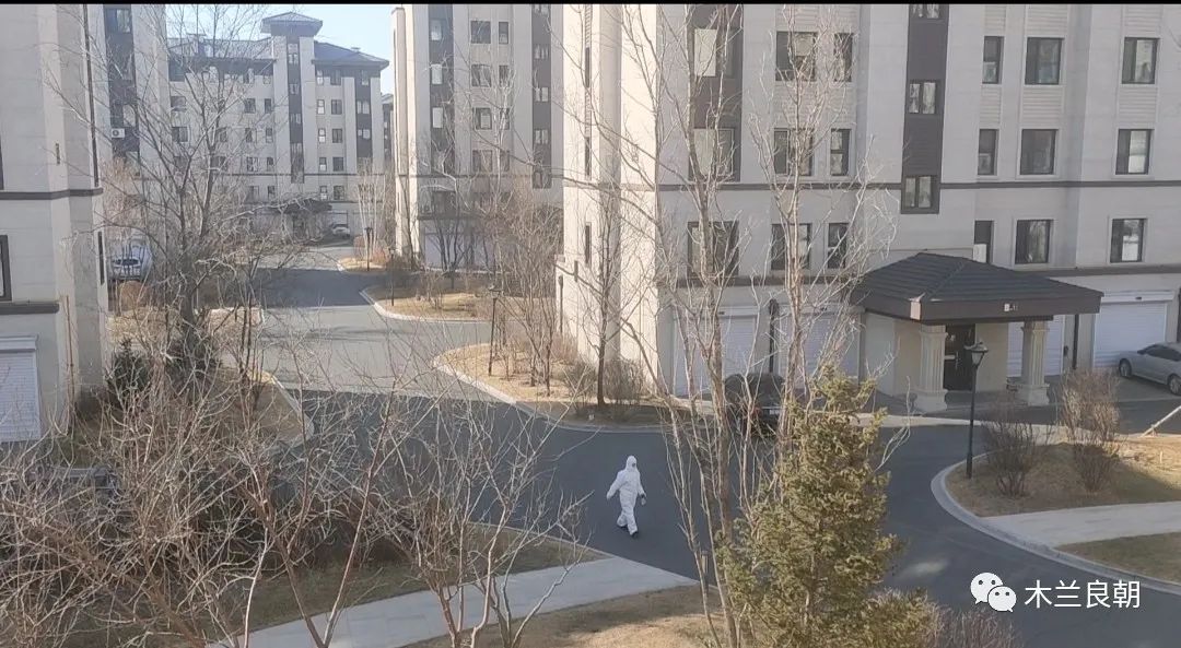 亲爱的大白我想对您说,亲爱的大白