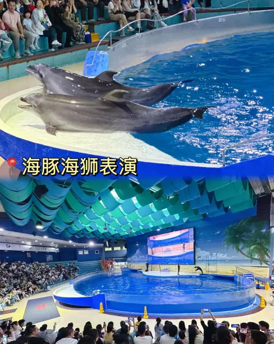 南京海底世界自驾游攻略,南京海底世界海底秀