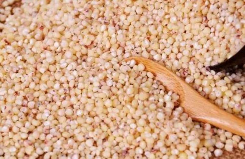 粗粮高粱米,五谷杂粮的高粱米是什么样的