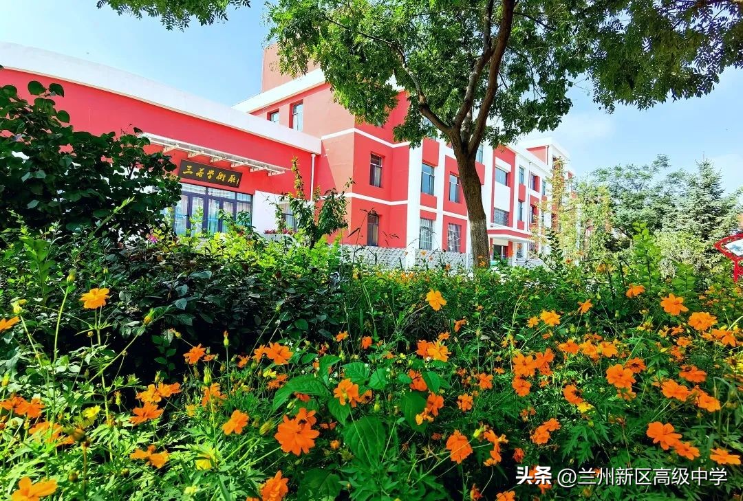 兰州新区高级中学学子在信息素养提升实践活动中斩获多个奖项