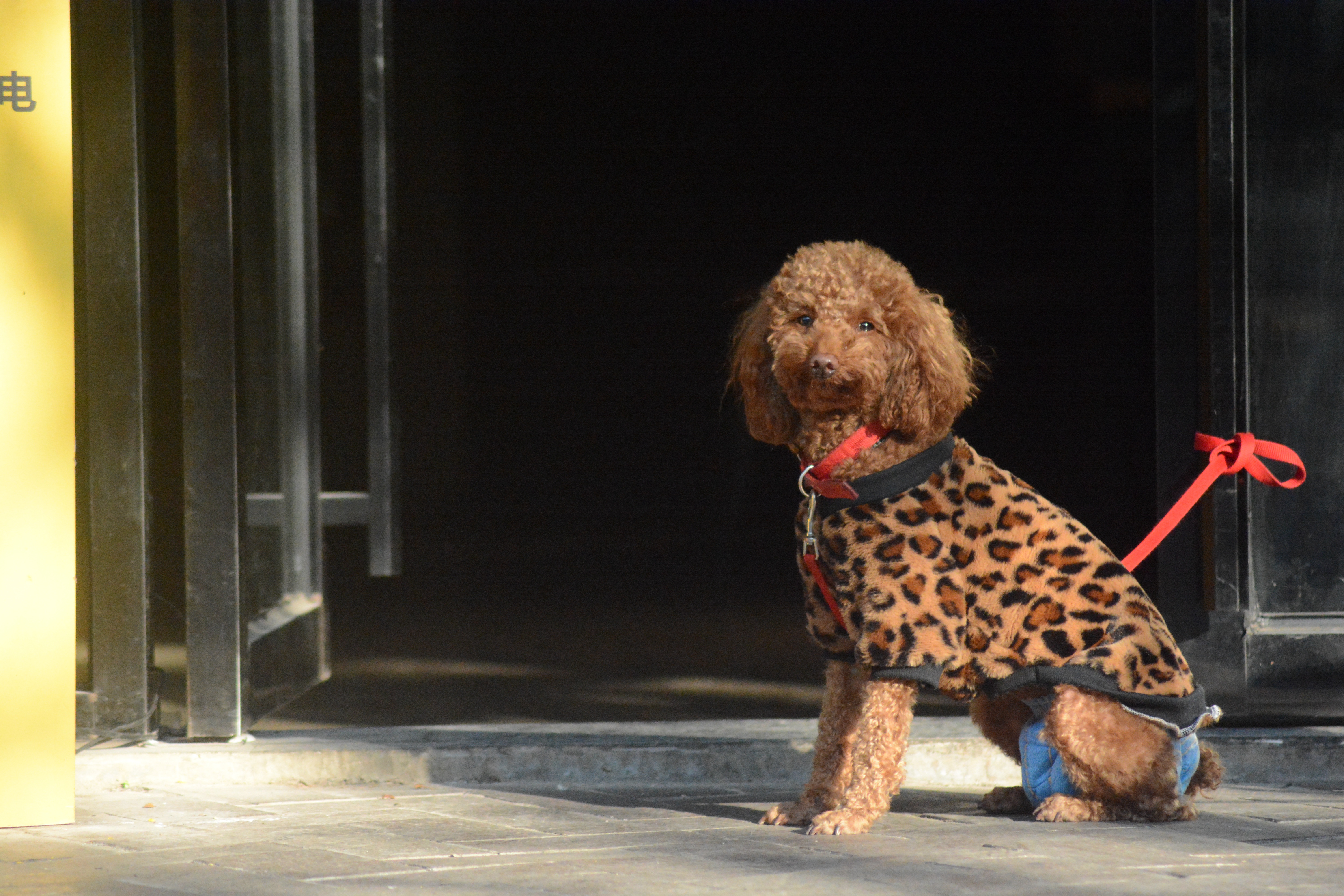 南宁百益上河城视频,南宁百益上河城在哪