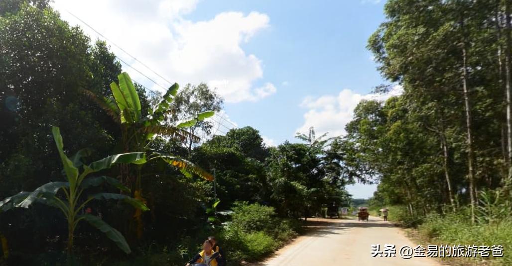 海南农业乐东是第一名吗,儋州农业发达吗